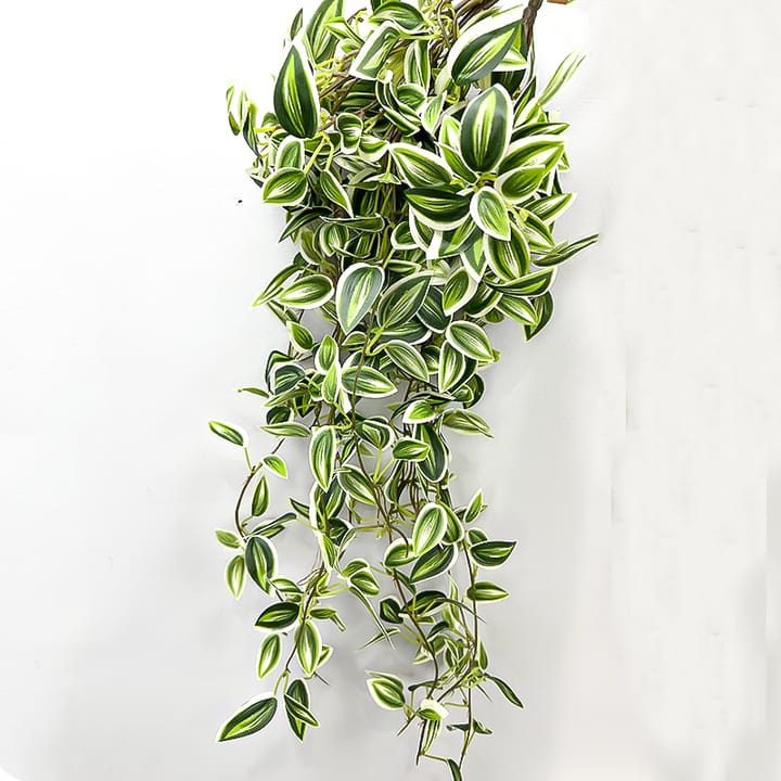 The Cascading Leaf Vine
