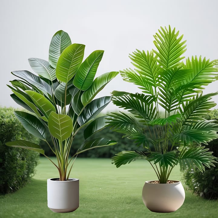 The Palm and Banana Duo