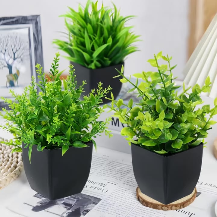 The Mini Potted Green