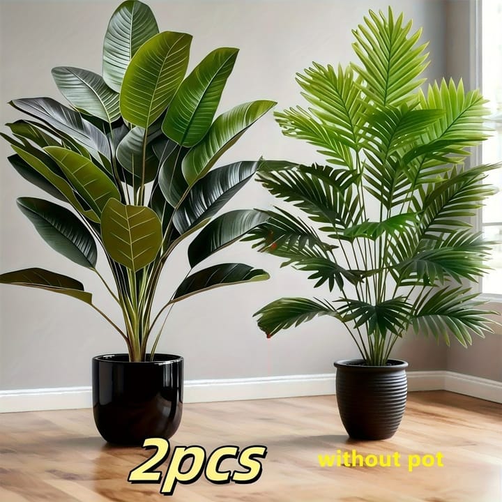 The Palm and Banana Duo