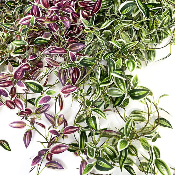 The Cascading Leaf Vine