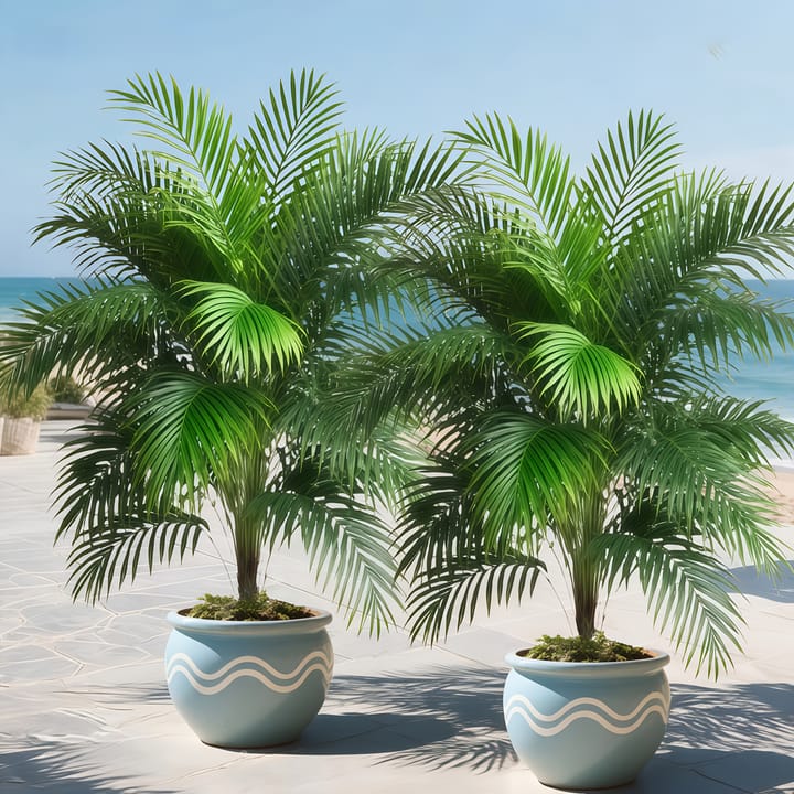 The Pineapple Palm Stand