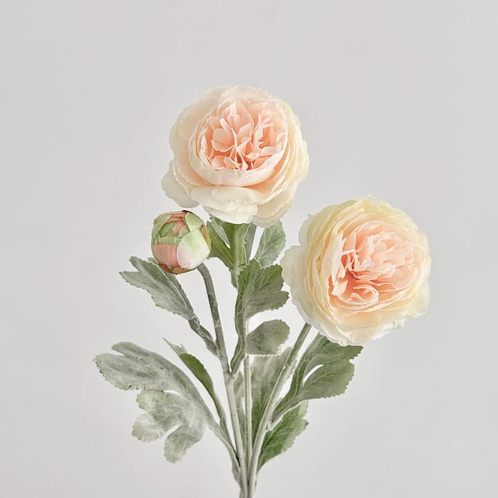 The Silk Peony Stem Trio, Champagne