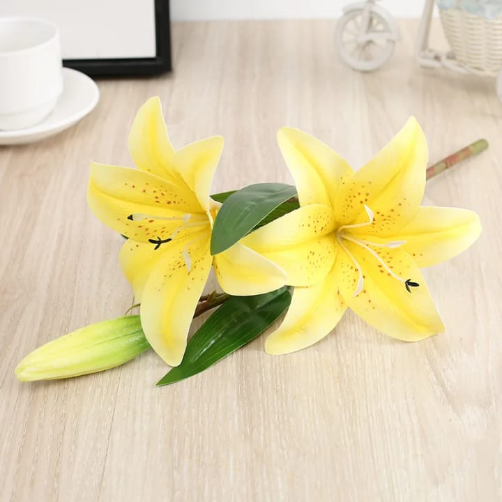 The Speckled Lily Stem, 11