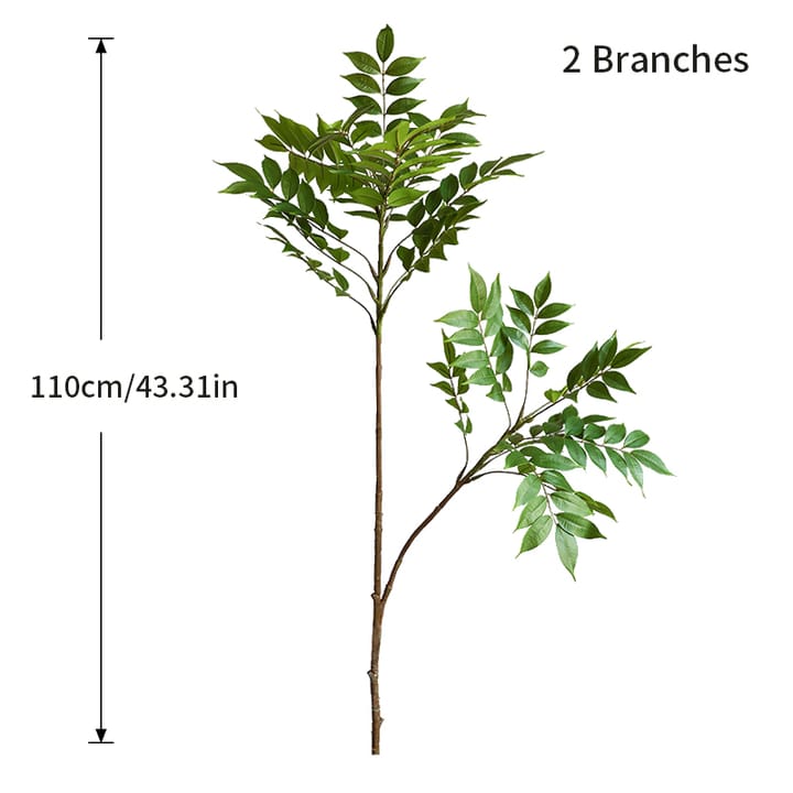 The Ficus Branch Study, 43 in tall, 2 branches