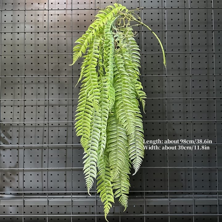 The Cascading Fern Vine, Light green fern fronds