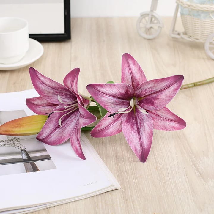 The Speckled Lily Stem, 14