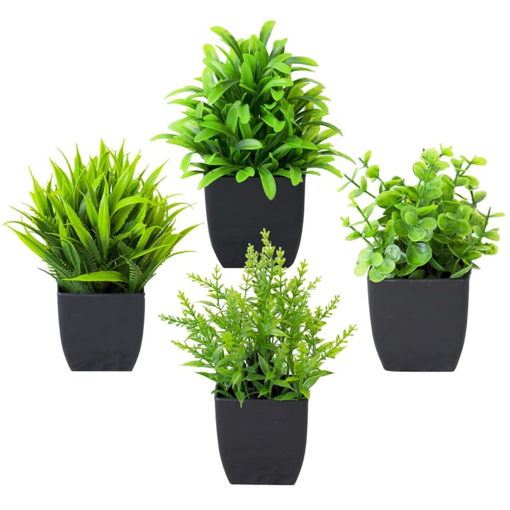 The Grass Pot Study