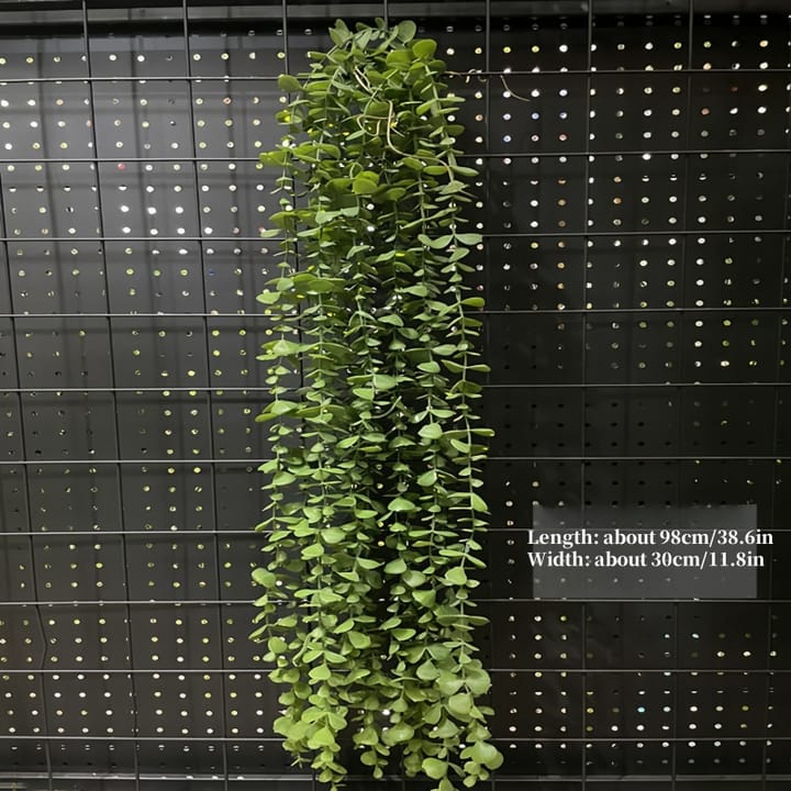 The Cascading Fern Vine, Green oval leaves