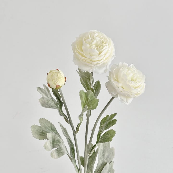 The Silk Peony Stem Trio, Cream white
