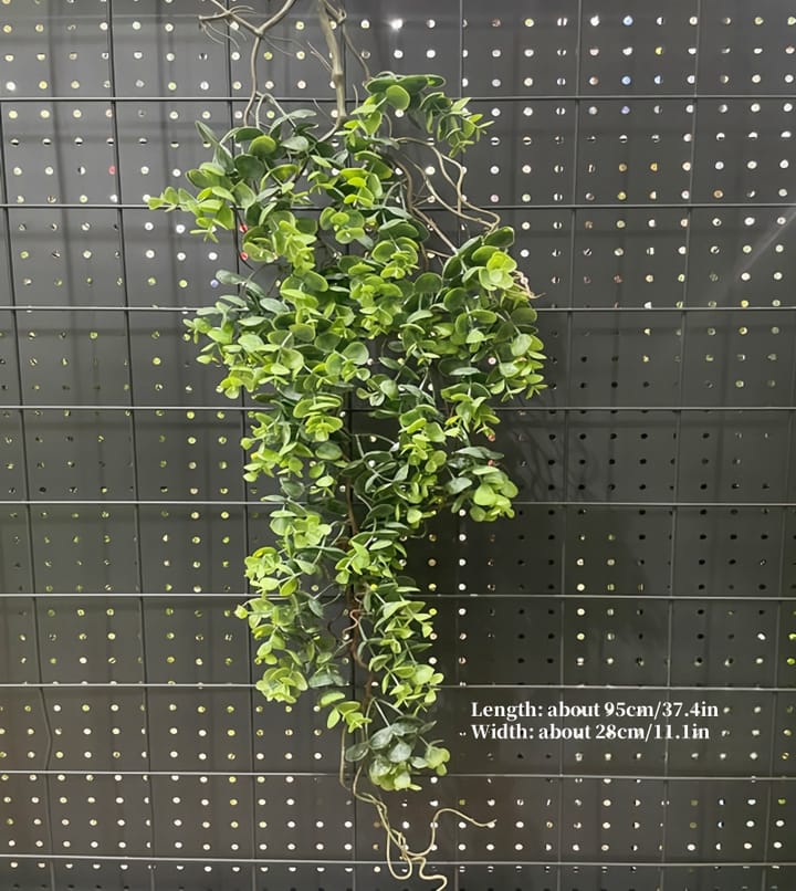 The Cascading Fern Vine, Green leafy vine with roots