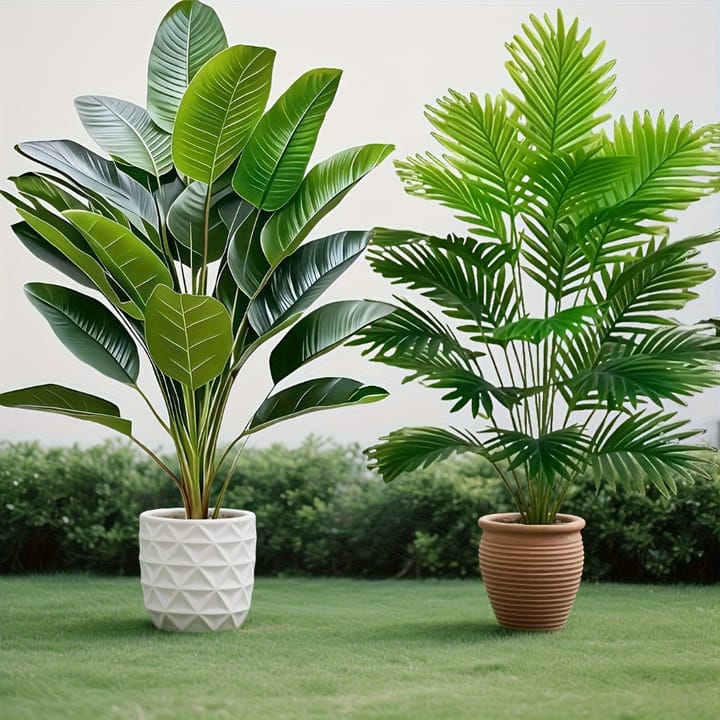 The Palm and Banana Duo