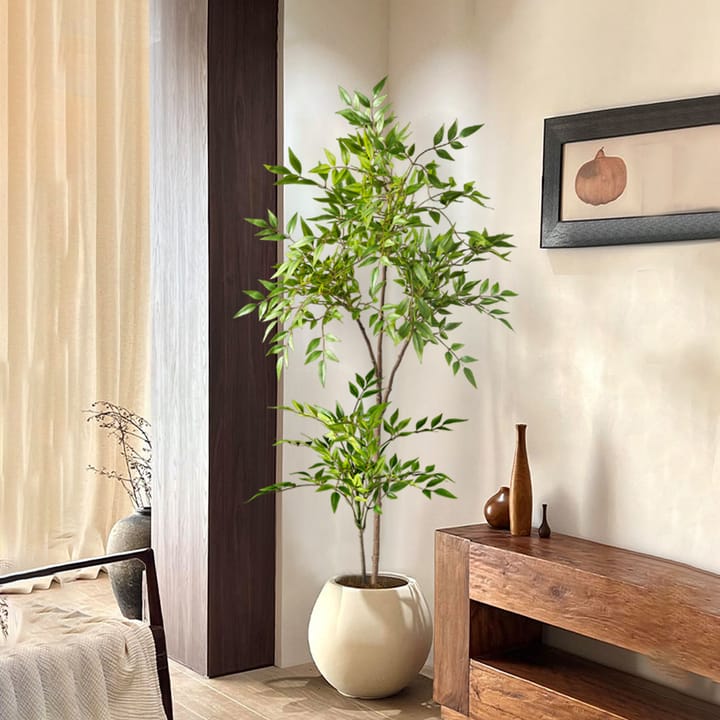 The Nandina Branch Tree