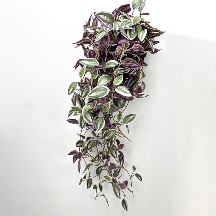 The Cascading Leaf Vine