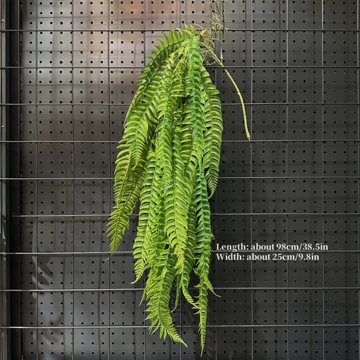 The Cascading Fern Vine, Bright green fern fronds