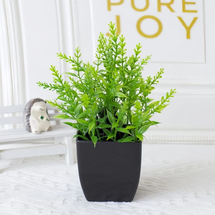 The Mini Potted Green, Lavender