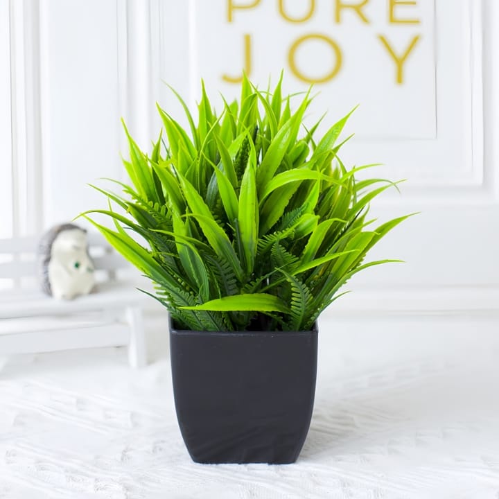 The Mini Potted Green, Grass