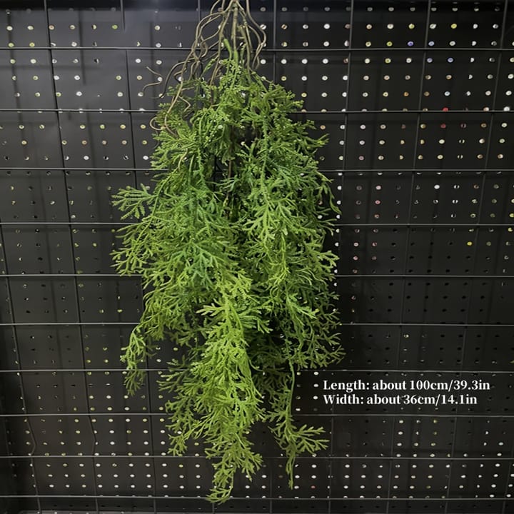 The Cascading Fern Vine, Green bushy strands