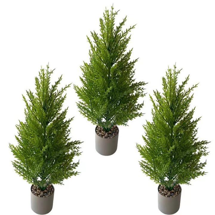 The Pine Bundle Trio