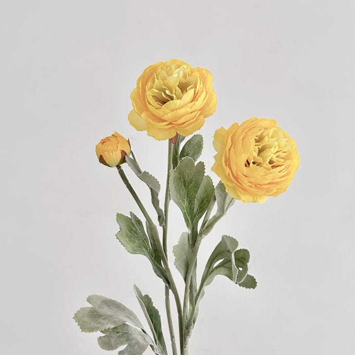 The Silk Peony Stem Trio, Yellow