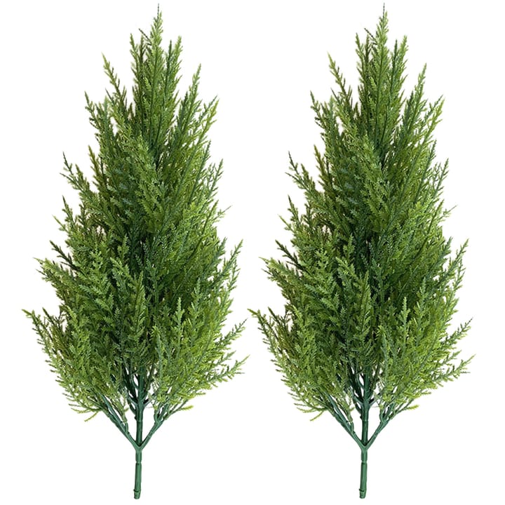 The Pine Bundle Trio, 2 stems