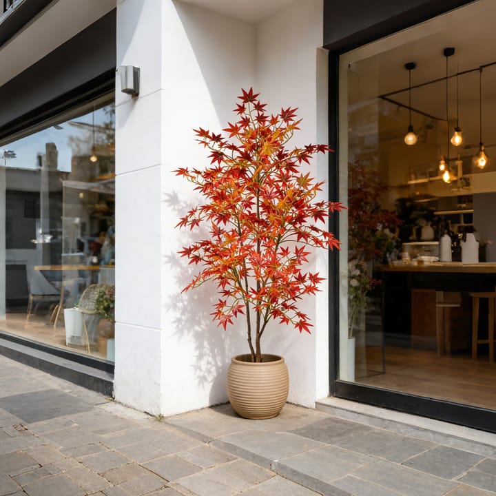 The Maple Floor Tree