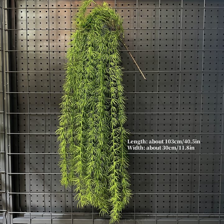 The Cascading Fern Vine, Green feathery vine