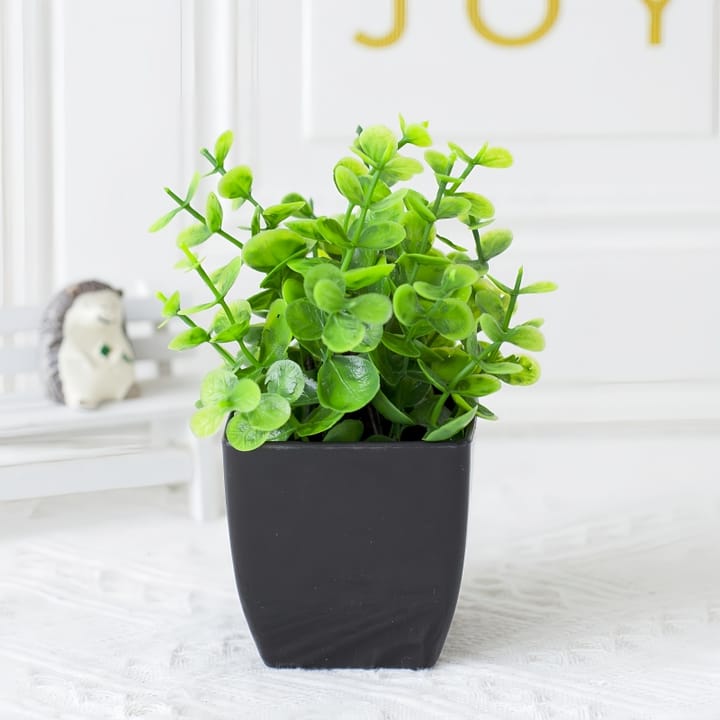 The Mini Potted Green, Eucalyptus