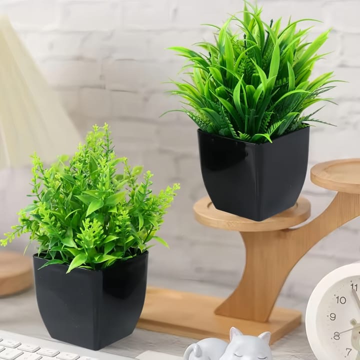 The Mini Potted Green