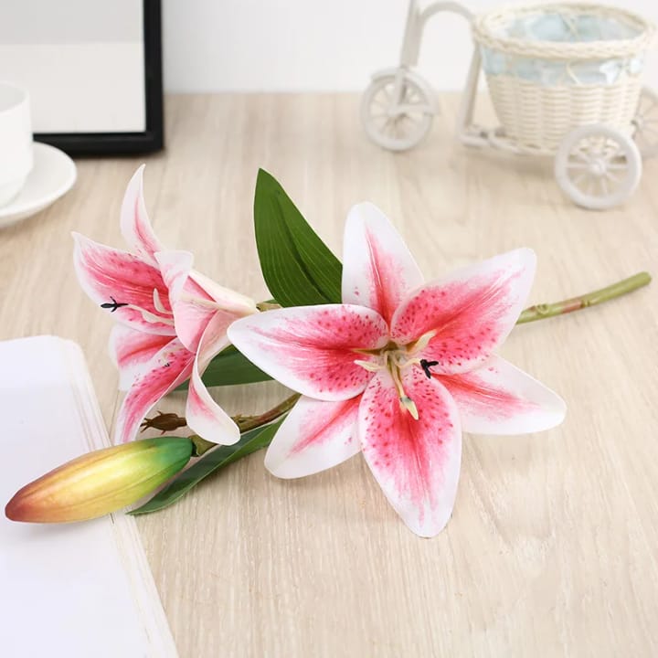 The Speckled Lily Stem, 13