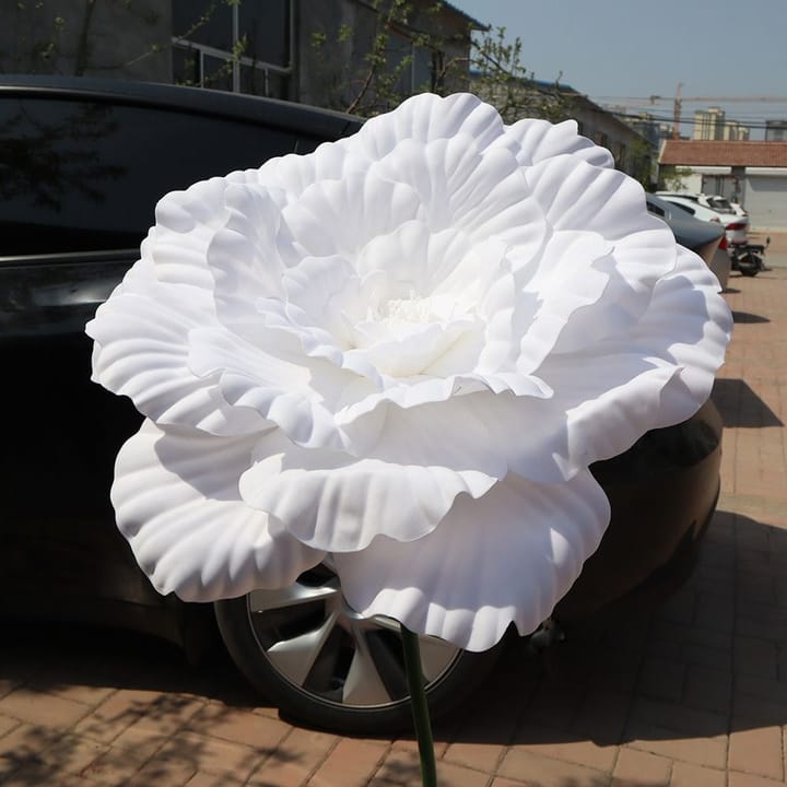 The Grand Peony Bloom, White