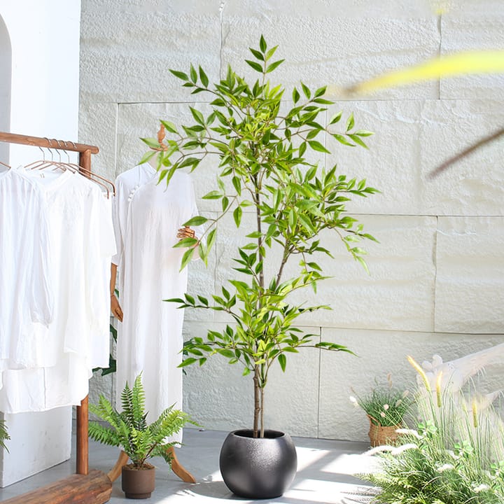 The Nandina Branch Tree