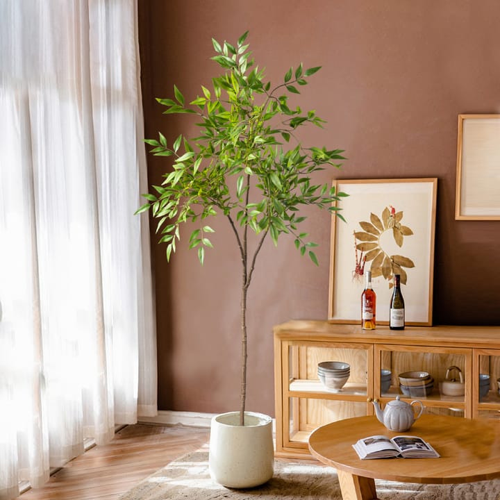 The Nandina Branch Tree