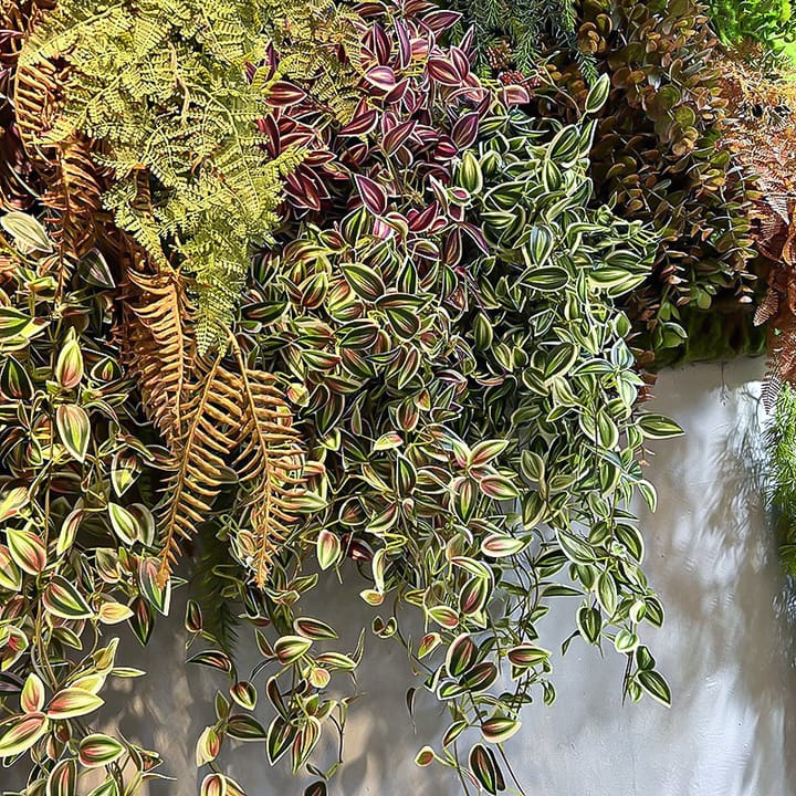 The Cascading Leaf Vine