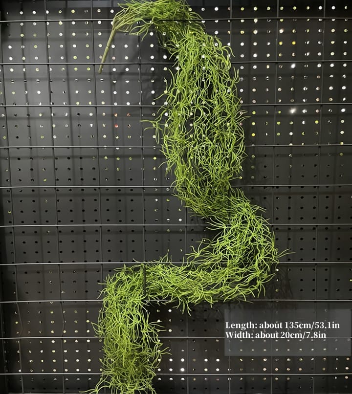 The Cascading Fern Vine, Green moss strands
