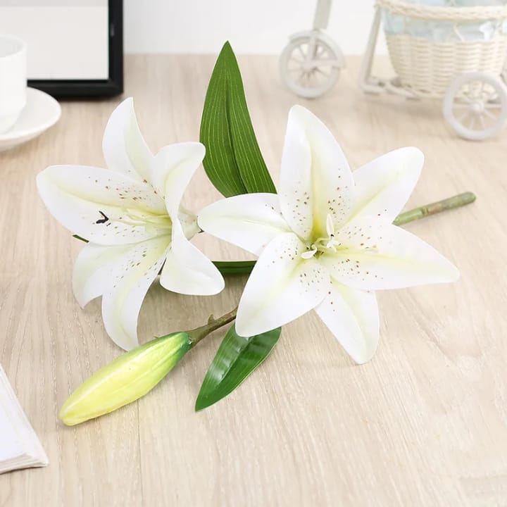 The Speckled Lily Stem, 12