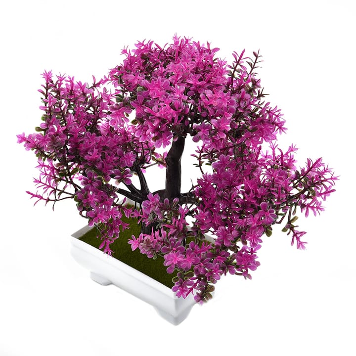 The Potted Bonsai Accent