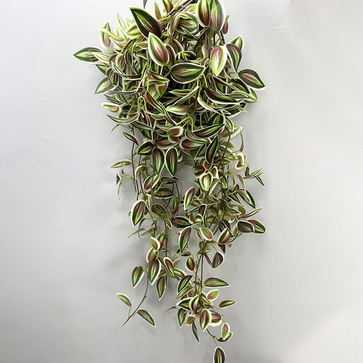 The Cascading Leaf Vine, Pink and green leaves
