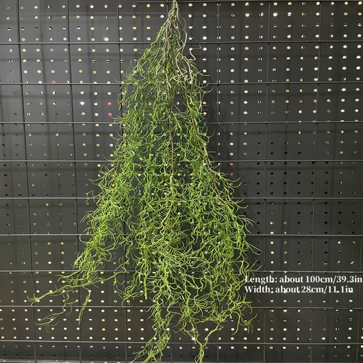 The Cascading Fern Vine, Green airy strands