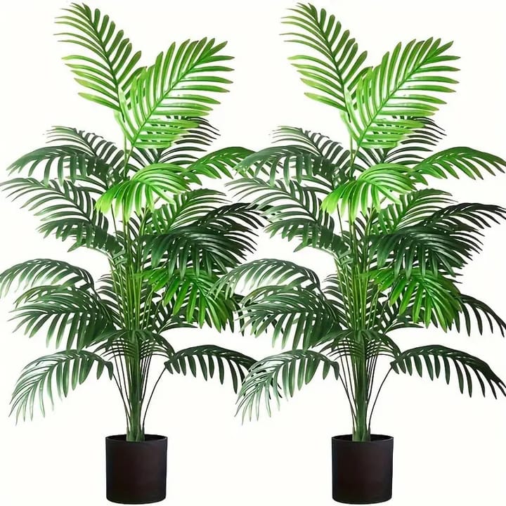 The Potted Palm Study