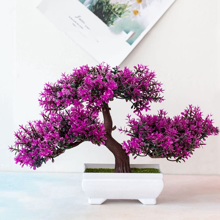 The Potted Bonsai Accent, Plum
