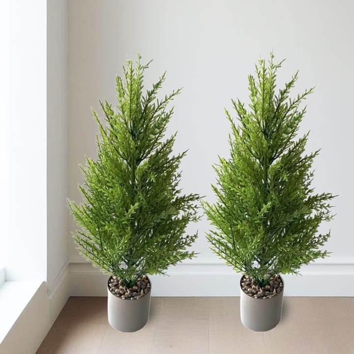 The Pine Bundle Trio