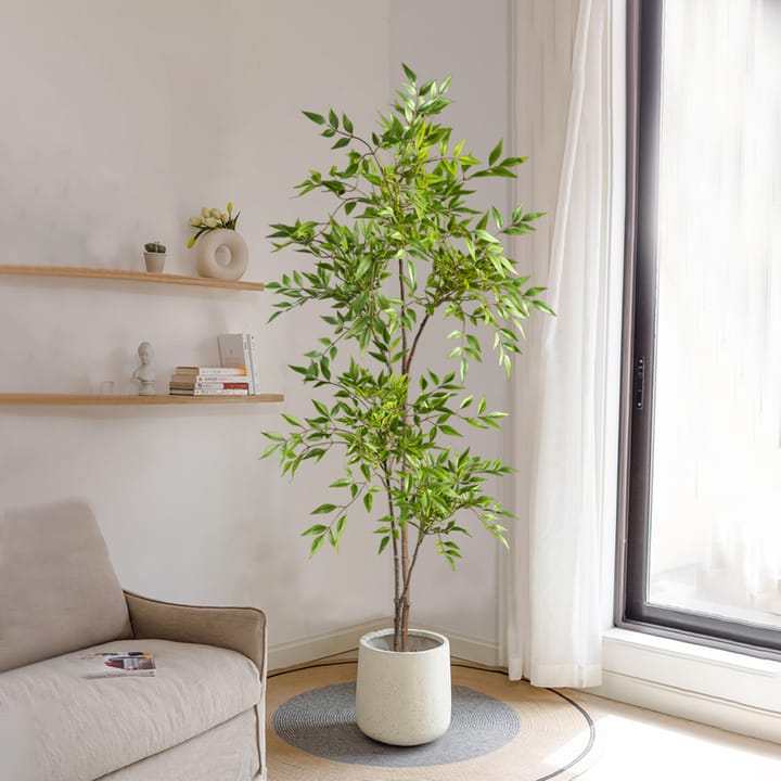 The Nandina Branch Tree