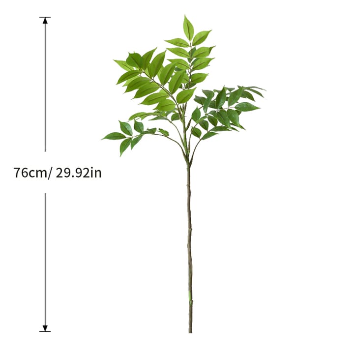 The Ficus Branch Study, 30 in tall