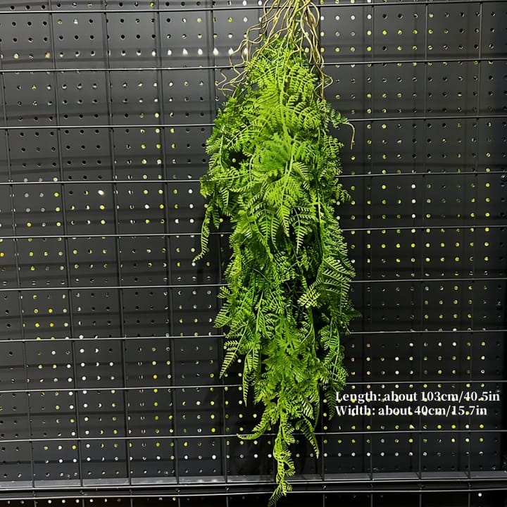The Cascading Fern Vine, Green ivy fronds