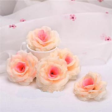 The Rose Head Pack, Champagne