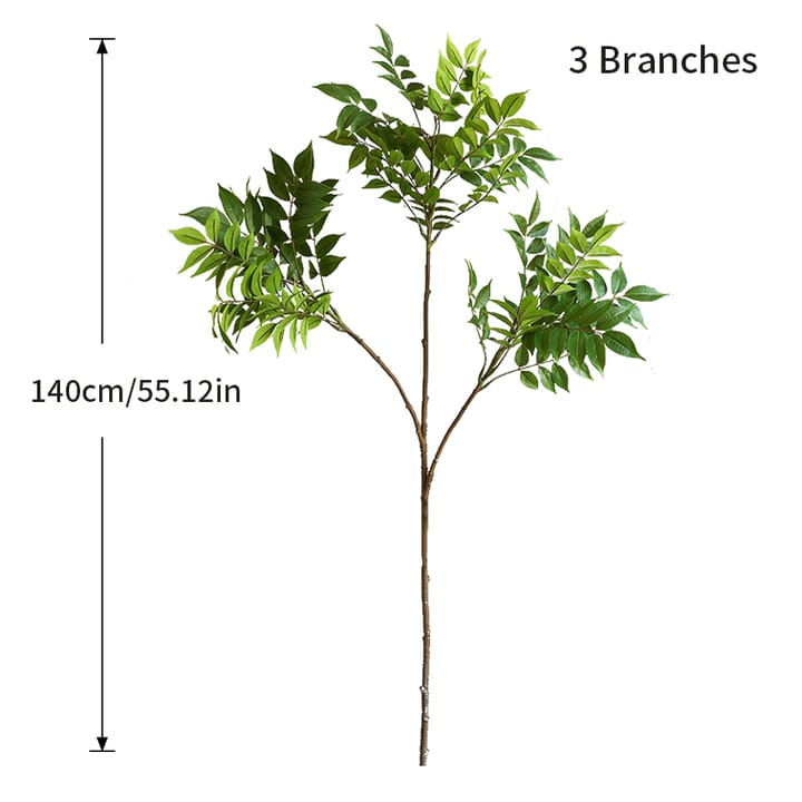 The Ficus Branch Study, 55 in tall, 3 branches