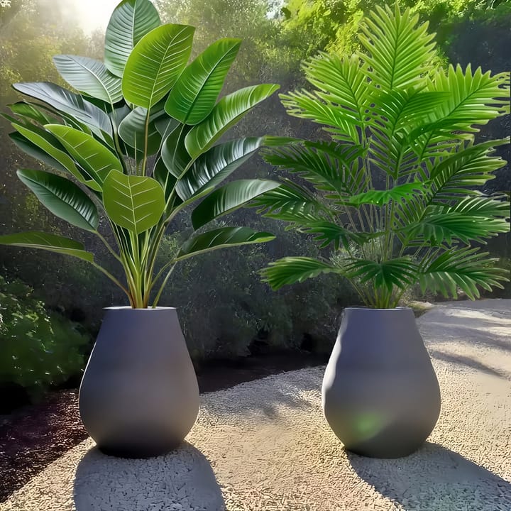 The Palm and Banana Duo