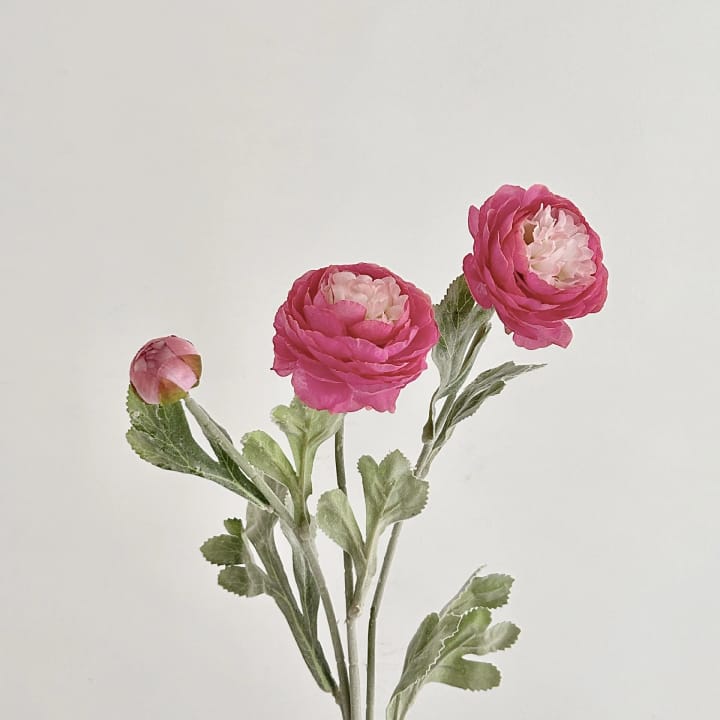 The Silk Peony Stem Trio, Rose pink