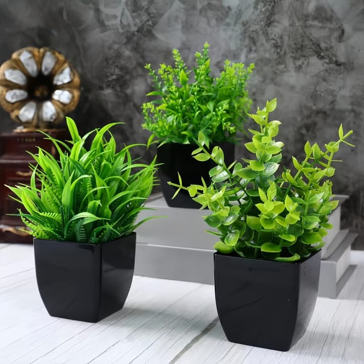 The Mini Potted Green